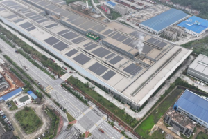 Hunan Hongwang New Materials